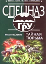 Михаил Нестеров Тайная тюрьма