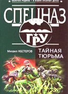 Михаил Нестеров Тайная тюрьма