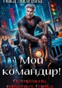 Мой командир