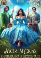 Мои мужья Попаданка в шоколаде