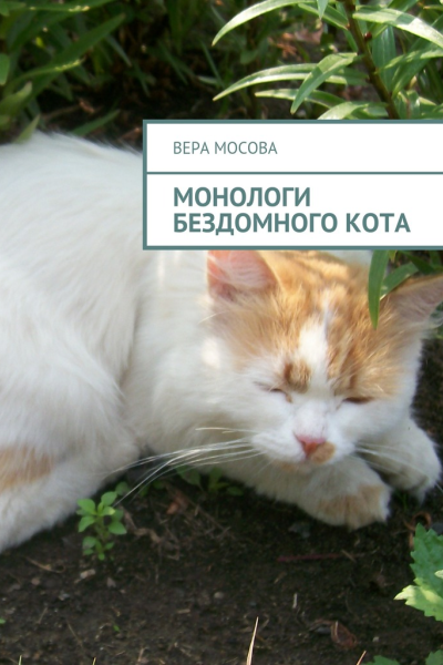 Монологи бездомного кота