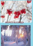 Мороз Воевода СИ