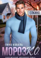 МорозКО  мэр Елкино СИ