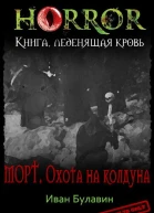 Морт Охота на колдуна