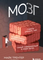 Мозг Советы ученого как по максимуму использовать самый совершенный в мире орган