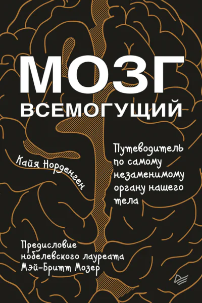 Мозг всемогущий Путеводитель по самому незаменимому органу нашего тела