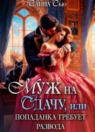 Муж на сдачу или Попаданка требует развода