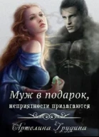 Муж в подарок неприятности прилагаются