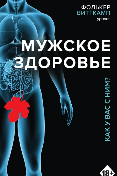 Мужское здоровье Как у вас с ним