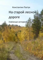 На старой лесной дороге
