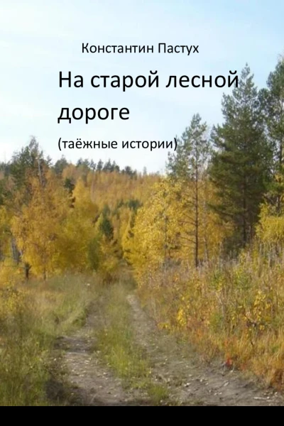 На старой лесной дороге