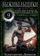 Наблюдатель СИ