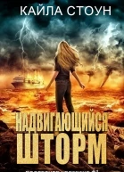 Надвигающийся шторм