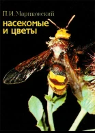 Насекомые и цветы