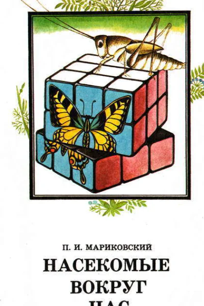 Насекомые вокруг нас