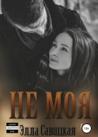 Не моя СИ