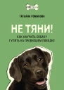 Не тяни Как научить собаку гулять на провисшем поводке