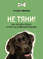 Не тяни Как научить собаку гулять на провисшем поводке