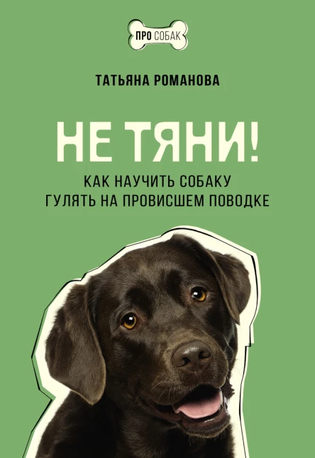 Не тяни Как научить собаку гулять на провисшем поводке