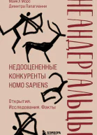 Неандертальцы Недооцененные конкуренты Homo sapiens