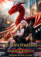 Недоразумение на боевом факультете Любовь на всю голову