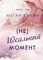 Неидеальный момент
