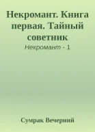 Некромант Книга первая Тайный советник
