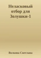 Неласковый отбор для Золушки1
