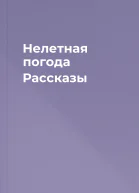 Нелетная погода Рассказы