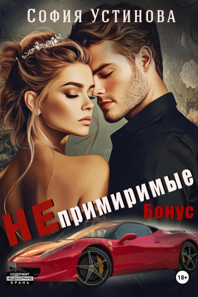 Непримиримые Бонус
