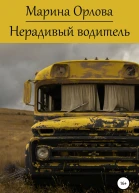 Нерадивый водитель