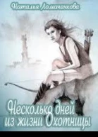 Несколько дней из жизни Охотницы СИ