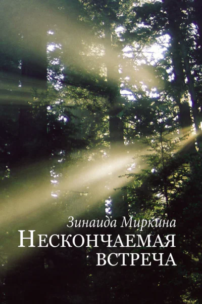 Нескончаемая встреча