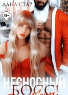 Несносный босс Дед Мороз СИ