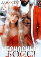 Несносный босс Дед Мороз