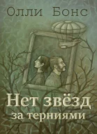 Нет звёзд за терниями СИ