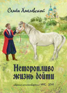 Неторопливо жизнь дойти сборник стихотворений 19952019