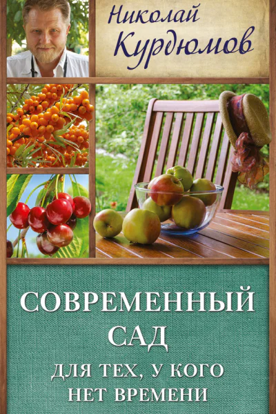 Николай Иванович Курдюмов Современный сад для тех у кого нет времени