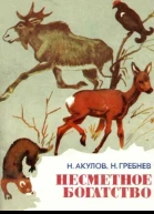 Николай Селиверстович Акулов Николай Николаевич Гребнев Несметное богатство
