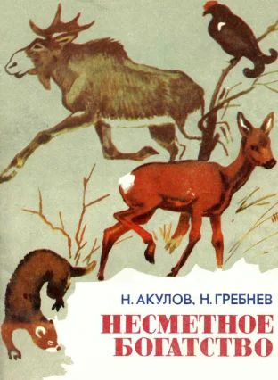 Николай Селиверстович Акулов Николай Николаевич Гребнев Несметное богатство