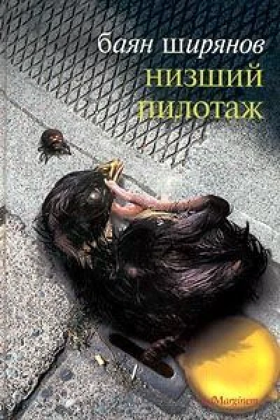 Низший пилотаж