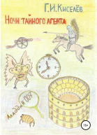 Ночи тайного агента