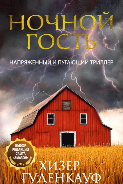 Ночной гость