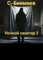 Ночной санитар 2
