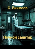 Ночной санитар СИ