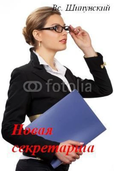 Новая секретарша СИ