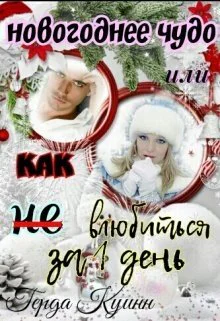 Новогоднее чудо или как  невлюбиться за 1 день