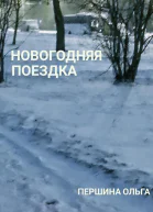 Новогодняя поездка