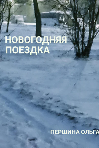 Новогодняя поездка