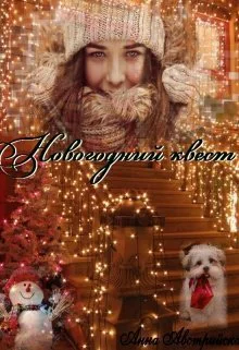 Новогодний квест СИ